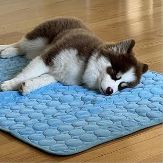 Animal Cooling Mat